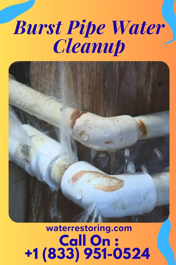 Burst Pipe Water Cleanup in Portales, NM