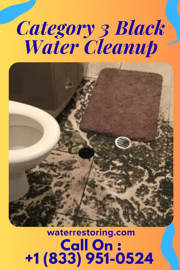 Category 3 Black Water Cleanup in Portales, NM