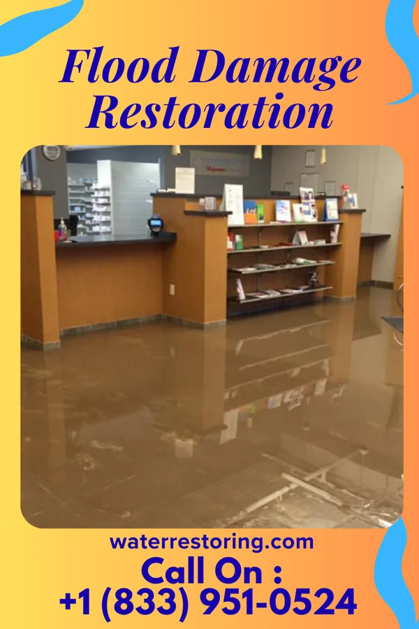 Flood Damage Restoration in Portales, NM