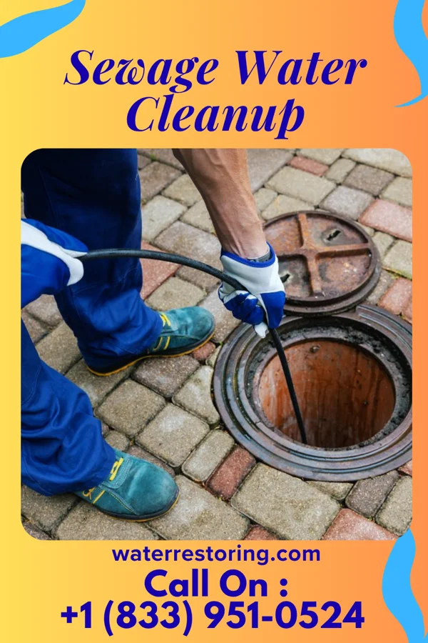 Sewage Water Cleanup in Portales, NM