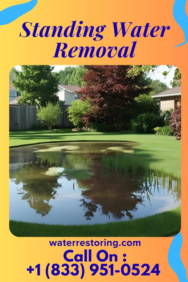Standing Water Removal in Portales, NM